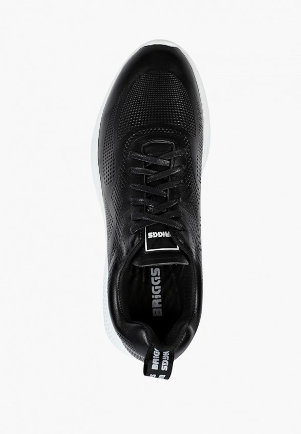 Кроссовки Briggs