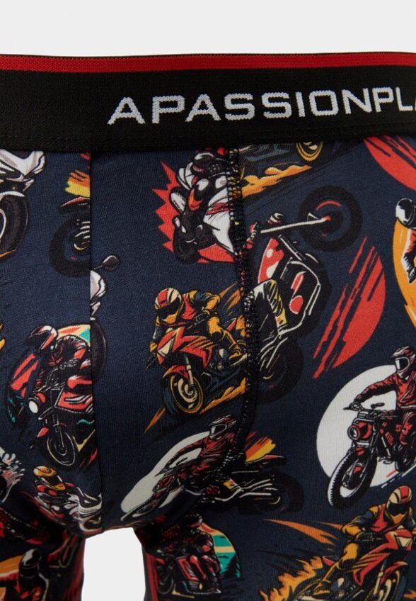 Трусы A Passion Play