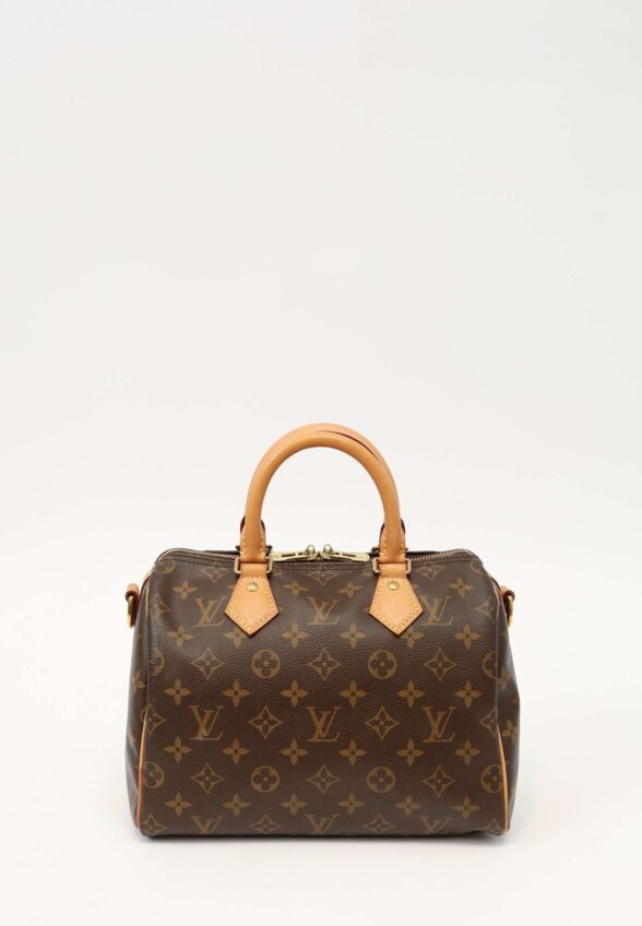 Louis Vuitton Speedy