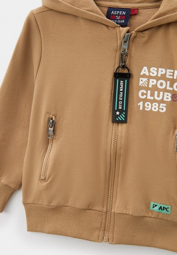 Толстовка Aspen Polo Club