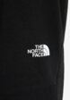 Брюки мужские The North Face, Черный7  - превью
