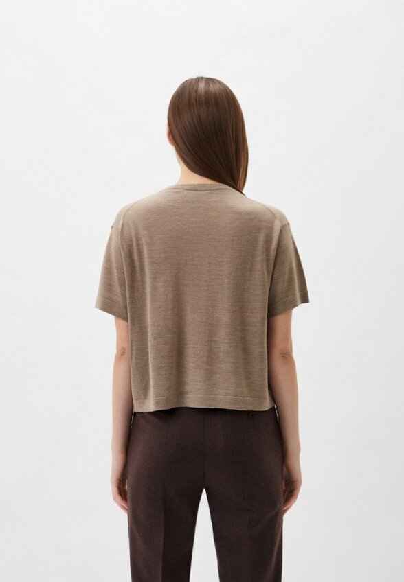 Джемпер Theory