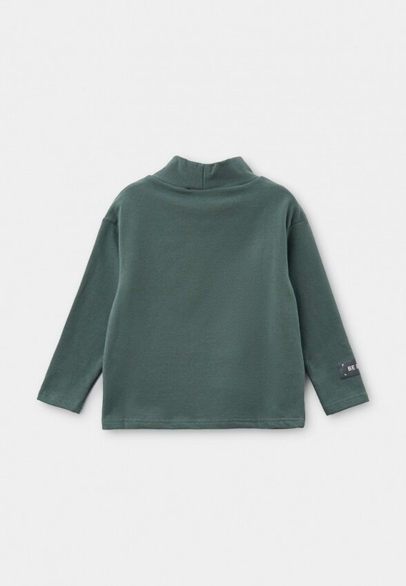 Водолазка Pelican