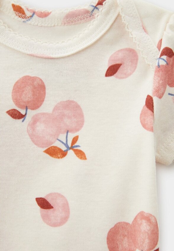 Боди 2 шт и брюки Carter’s