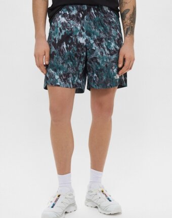 Шорты спортивные The North Face мужчинам