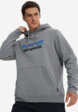 Худи мужское Patagonia Logo Uprisal, Серый1  - превью