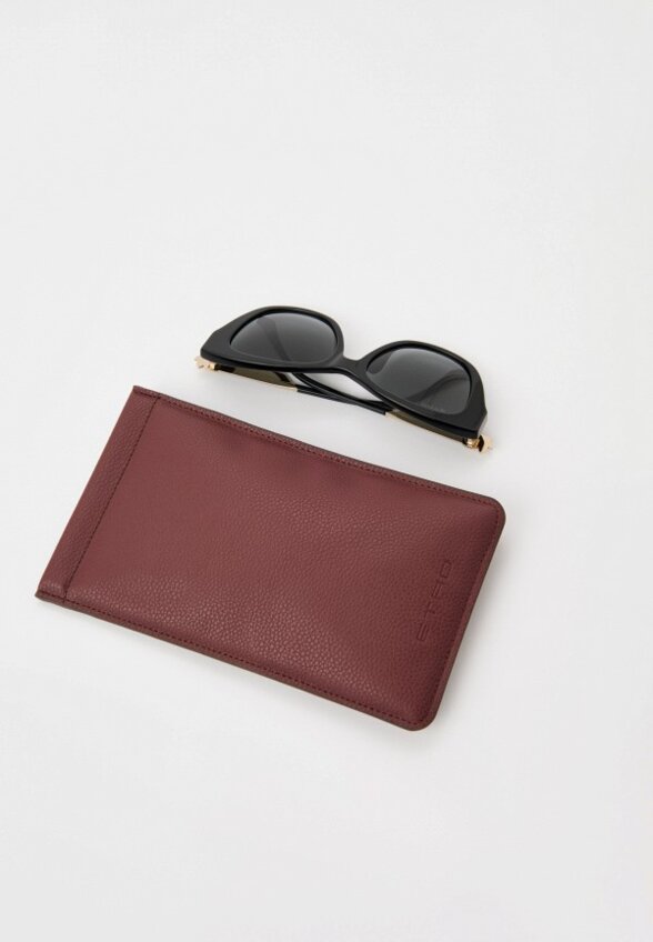 Очки солнцезащитные Etro