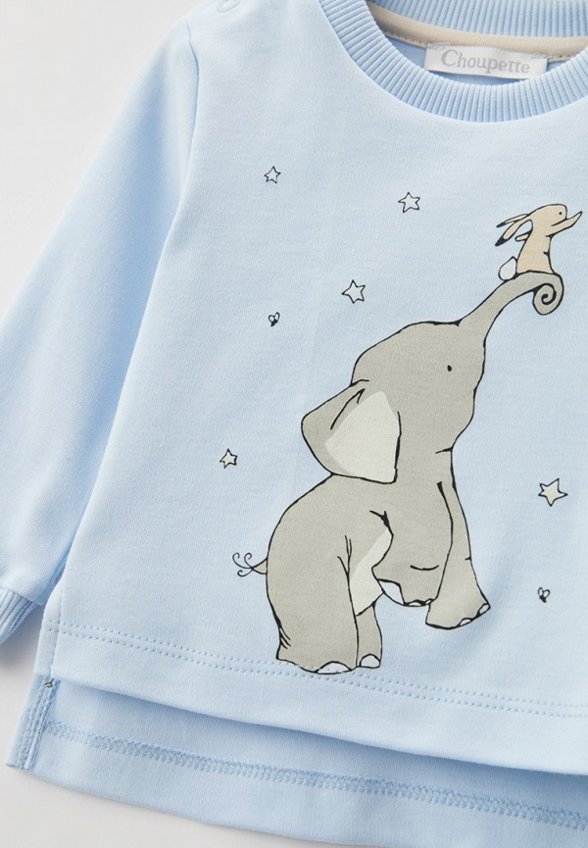 Свитшот Choupette