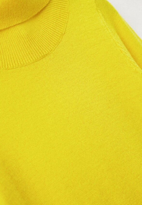 Водолазка Norveg