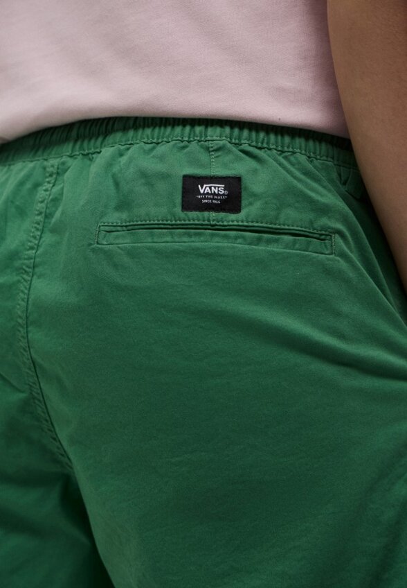 Шорты Vans