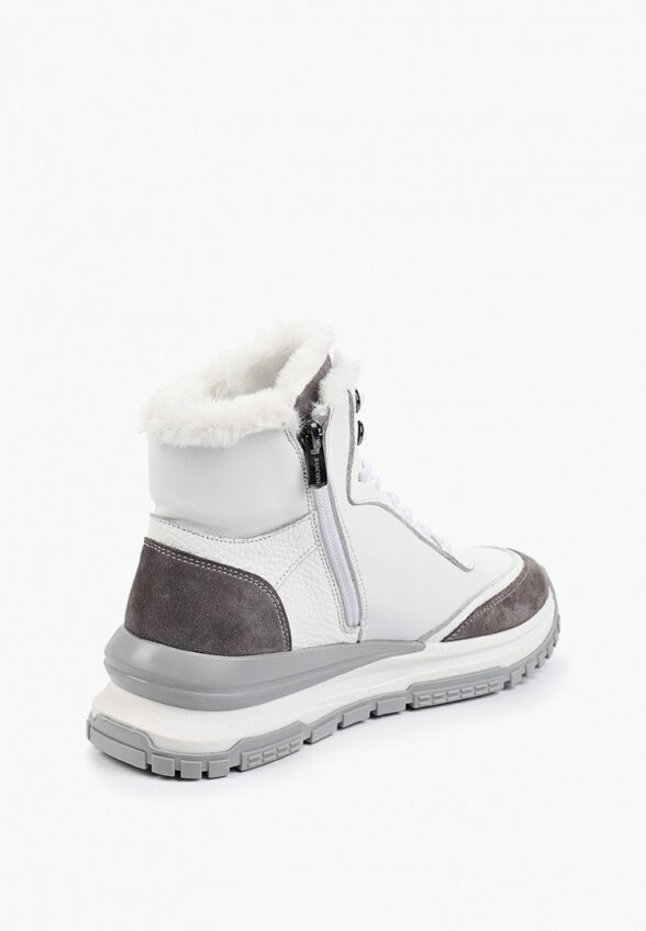 Кроссовки Basconi