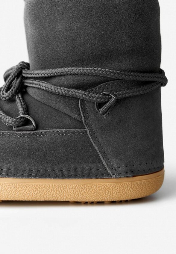 Луноходы Wysh