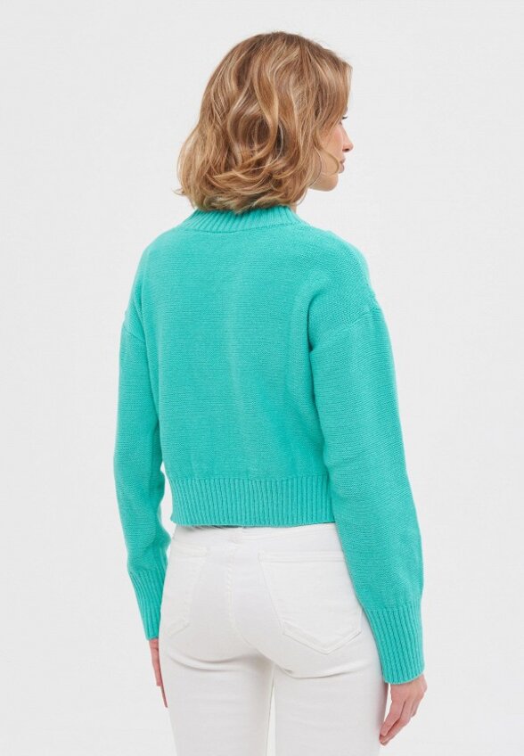 Джемпер Стим