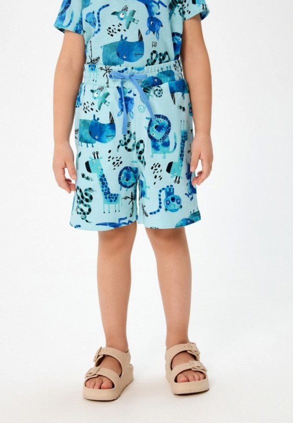 Шорты спортивные Acoola