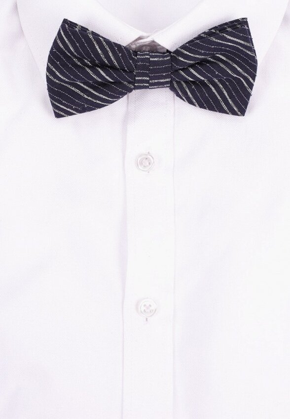 Бабочка Eterna