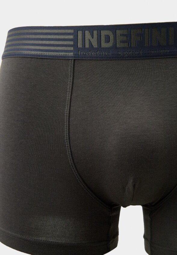 Трусы Indefini