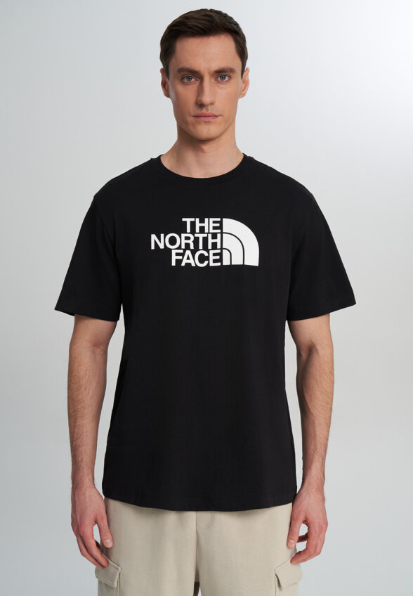 Футболка мужская The North Face Evolution, Черный
