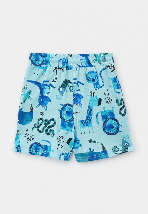 Шорты спортивные Acoola