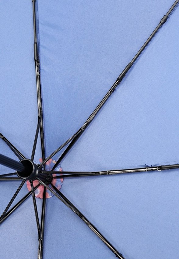 Зонт складной и брелок Flioraj