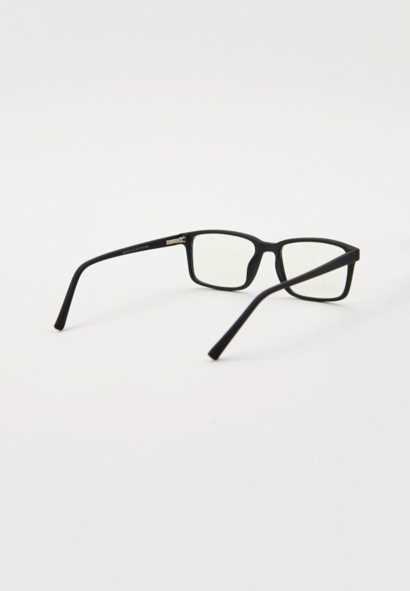 Очки для компьютера Lectio Risus