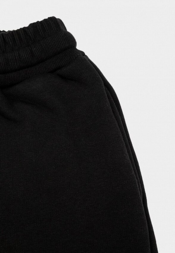 Брюки спортивные Nordman