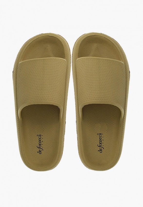 Сланцы De Fonseca