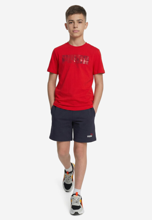 Футболка для мальчиков PUMA Ess Logo Lab Story 2, Красный