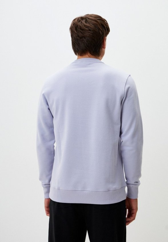 Свитшот Dickies