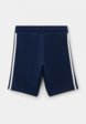 Шорты спортивные adidas Originals2  - превью