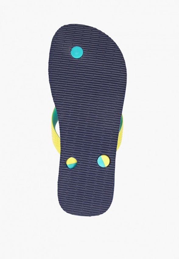 Сланцы Havaianas