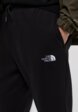 Брюки спортивные The North Face4  - превью