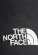 Брюки мужские The North Face Jazzi Gtx, Серый5  - превью