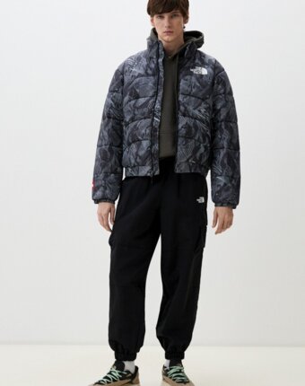 Пуховик The North Face мужчинам
