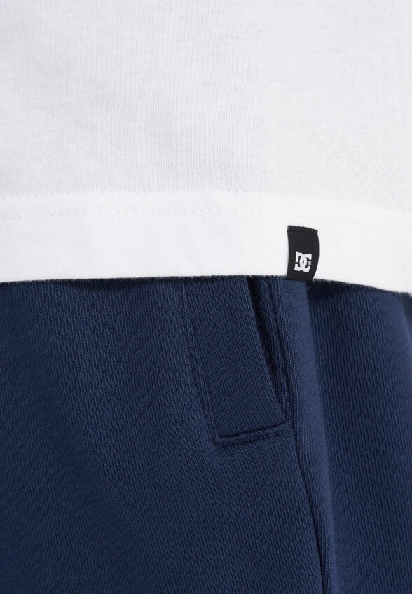 Футболка мужская DC Shoes Essy Street Scene, Белый