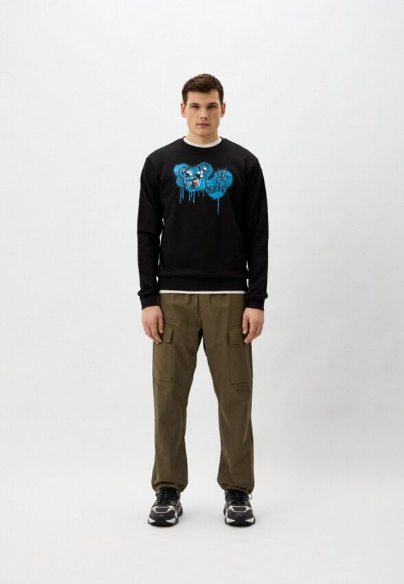 Свитшот Iceberg