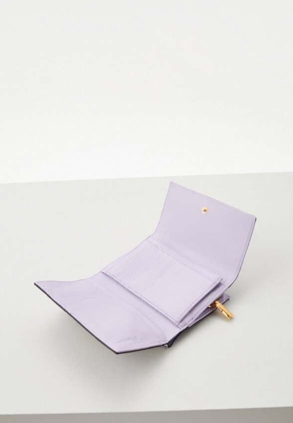 Кошелек Coccinelle