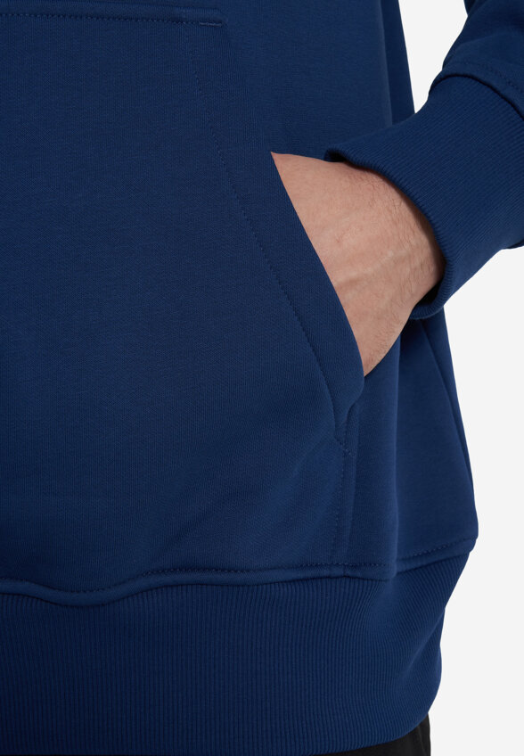 Худи мужское The North Face Raglan Box Nse, Синий