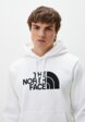 Худи The North Face5  - превью