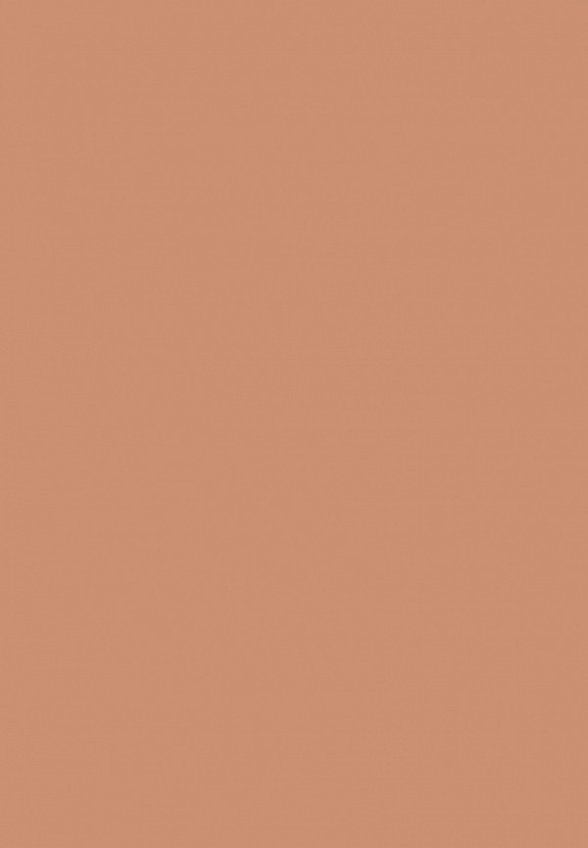 Тональный крем Vivienne Sabo