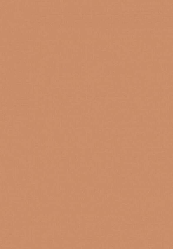 Пудра компактная Inglot