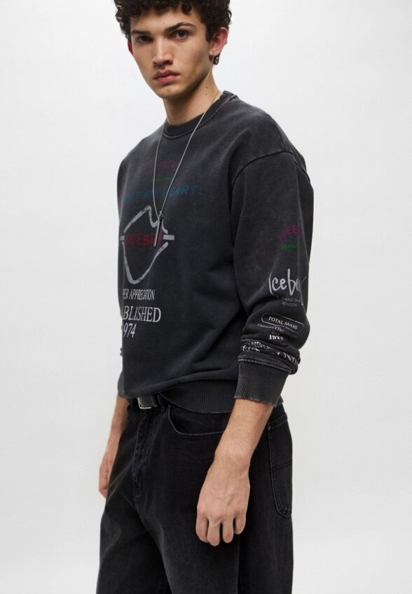 Свитшот Iceberg