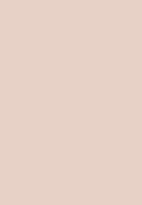 Пудра компактная Zeesea