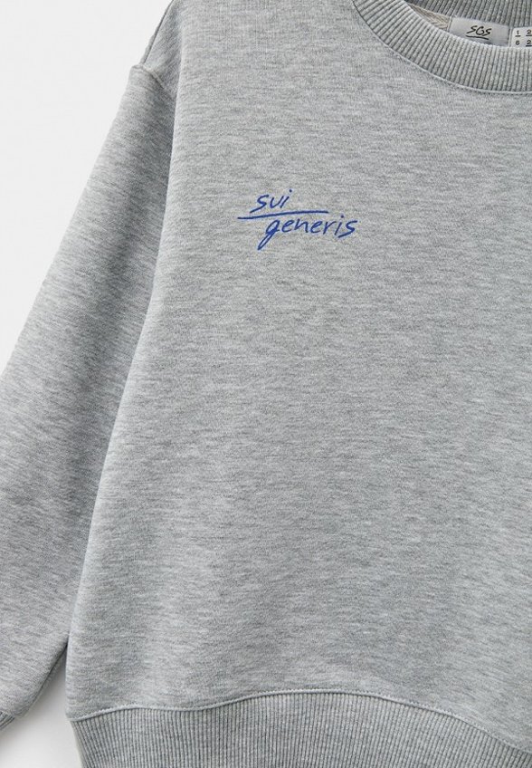 Свитшот Sui Generis