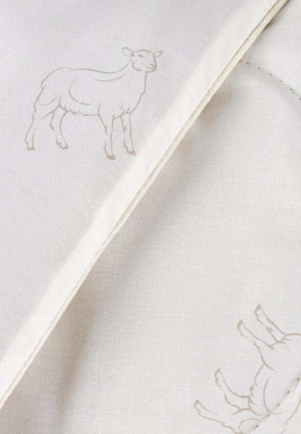 Одеяло Евро Cassia