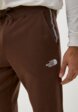 Брюки спортивные The North Face4  - превью