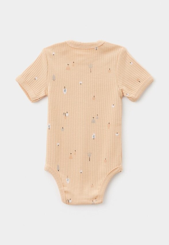 Боди 3 шт. Carrot