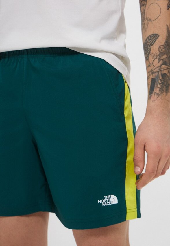 Шорты спортивные The North Face