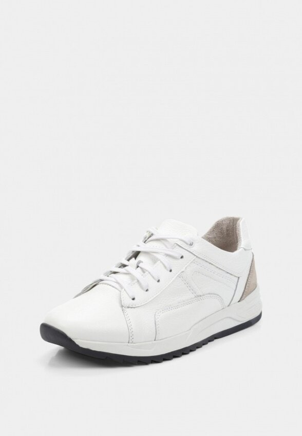 Кроссовки Alessio Nesca