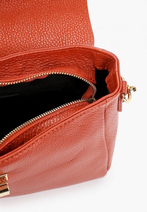 Сумка Alessandra del Biondo