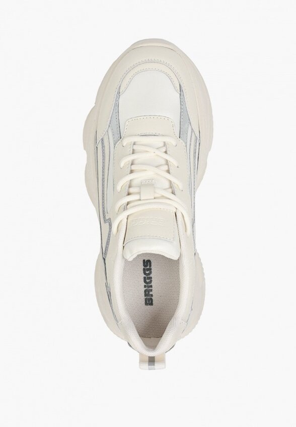 Кроссовки Briggs